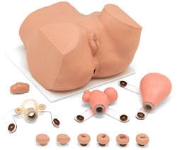 Nasco EVA Gynecological Training Mannequin Female - 160-1900
