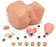 Nasco EVA Gynecological Training Mannequin Female - 160-1900