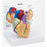 Nasco Heart Model Mannequin - SB32595