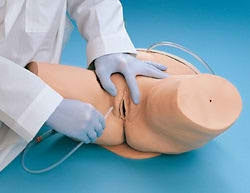 Life/Form - Female Catheterization Simulator Life/form - LF00856