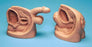 Nasco Life/Form Catheter Model Male - LF01150