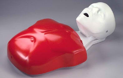 Nasco Basic Buddy CPR Mannequin Adult / Child - LF03693