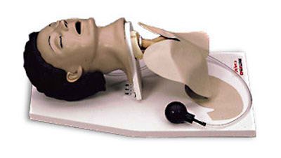 Nasco Life/Form Adult Airway Management Trainer with Stand Adult - LF03601