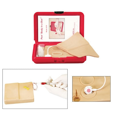Body In A Box - Port Model - SB43089