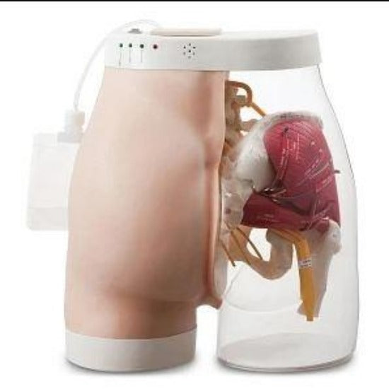Nasco MODEL, BUTTOCKS INTRAMUSCULAR INJECTION TYPE 2 - SB52393