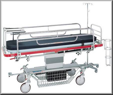Pedigo Products Mattress - 5851002