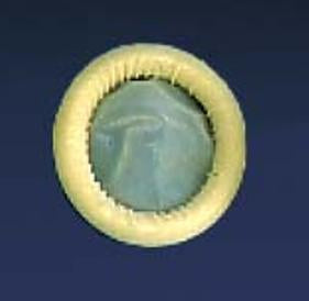 Parker Labs Ultra Cover Ultrasound Probe Cover 2 X 7.1 Inch Latex Non-Sterile For Ultrasound Probe - 30-00