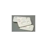 Poly stat - Rapid Test Kit Fertility Test hCG Pregnancy Test Serum / Urine Sample 25 Tests - HCG25
