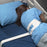 Posey - Roll Belt Quick-Release Buckle 2-Strap - 1231Q