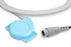 Nautilus Ultrasound Transducer
