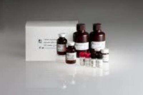 Manual Pipette Tip