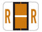 Wilmer Barkley Pre-Printed Label Chart Tab R | R Black / Brown / White 1 X 1-1/4 Inch - W-4300-R