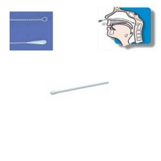 Transport Swab