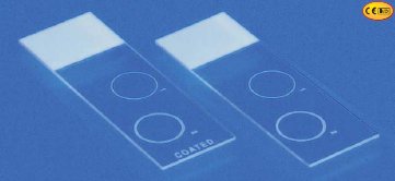 Shandon Double Cytoslide - Cytology Microscope Slide 25 X 75 mm Blue End - 5991055