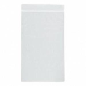 RD Plastics Company BAG, ZIPLOCK 12"X15" 2ML (1000/CS) - 60338210330