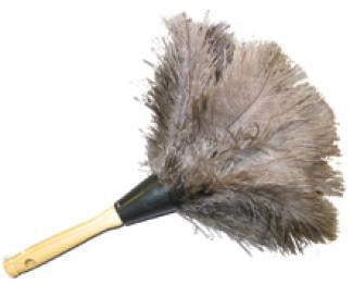 Saalfeld Redistribution Duster Ostrich Feather 12 Inch L - 4600