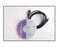 Cooper Surgical Software Package L452VA, Vista AVS - L450SF
