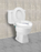 Raised Toilet Seat