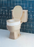 Toilet Seat 