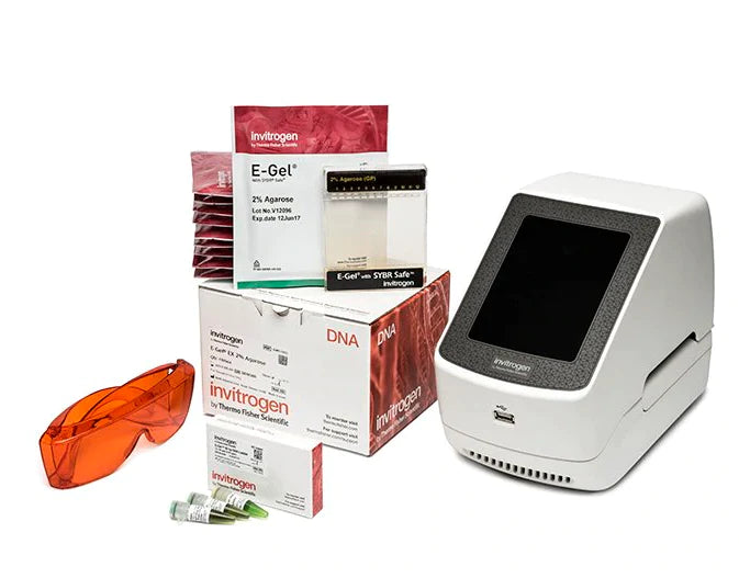 Invitrogen E-Gel - Electrophoresis System - G8352ST
