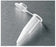 Corning Costar - Microcentrifuge Tube Conical Bottom Plain 16 X 150 mm 1.7 mL Without Color Coding Snap Cap Polypropylene Tube - 7200534