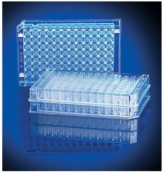 Fisherbrand - 96-Well Microplate 350 µL Clear NonSterile - 12565501