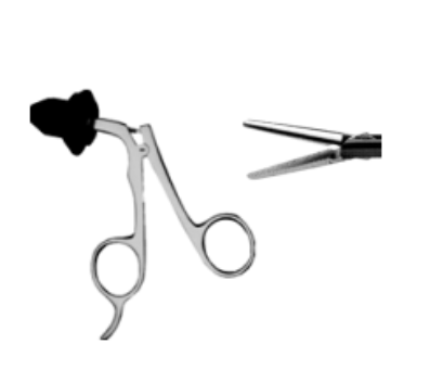 Needle-Nose Grasper