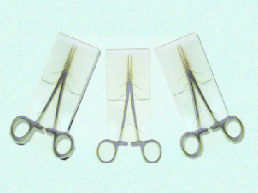 Healthmark Economical, Single-Use Tip Protectors