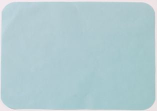 Tidi - Tray Cover 11 W X 17.25 L Inch For Weber (C) Trays - 917553