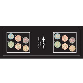 Titmus - Vision Screening Slide Color Blind Test - 18086