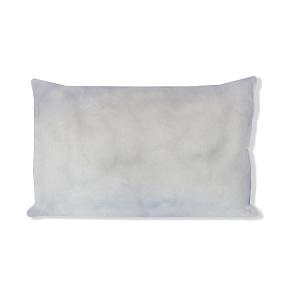 TAYLOR HEALTHCARE PRODUCTS INC DISPOSABLE PILLOWS 13 X 18 10/CS - 90-RFP1318