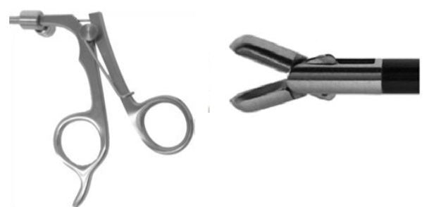 Biopsy Spoon Forceps