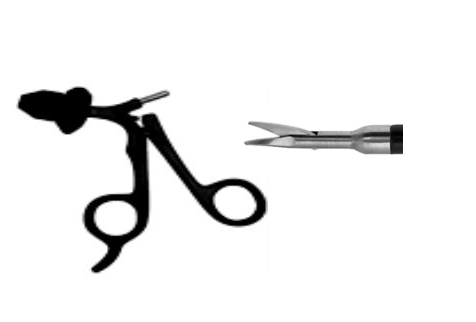 Scissors and Biopsy Forceps