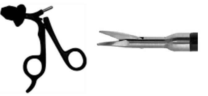 Micro Tip Scissors