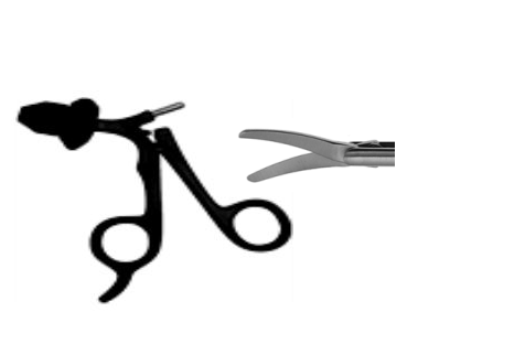 Scissors and Biopsy Forceps