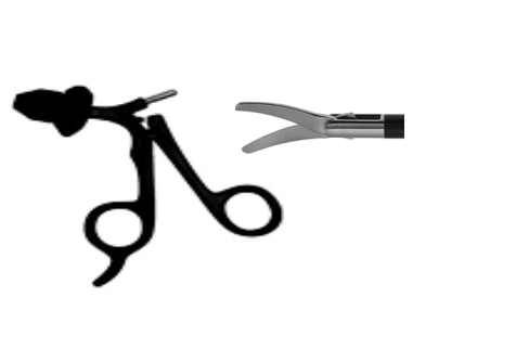 Scissors and Biopsy Forceps
