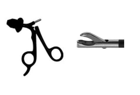 Scissors and Biopsy Forceps