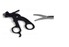 Scissors and Biopsy Forceps
