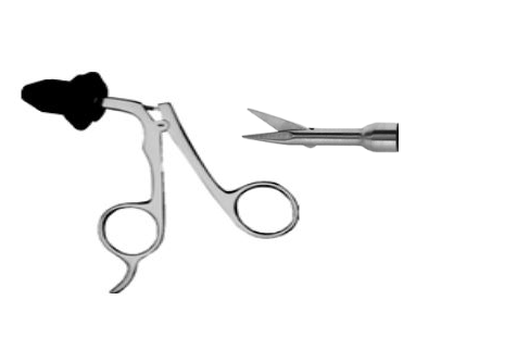 Scissors and Biopsy Forceps