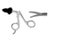 Scissors and Biopsy Forceps