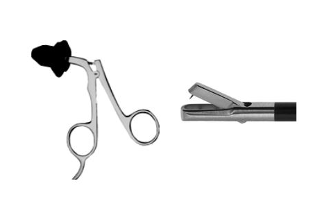 Scissors and Biopsy Forceps