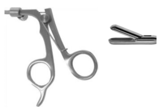 Scissors and Biopsy Forceps