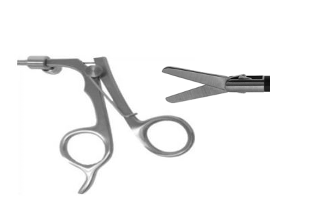 Scissors and Biopsy Forceps