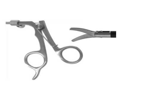 Scissors and Biopsy Forceps