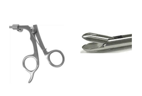 Scissors and Biopsy Forceps