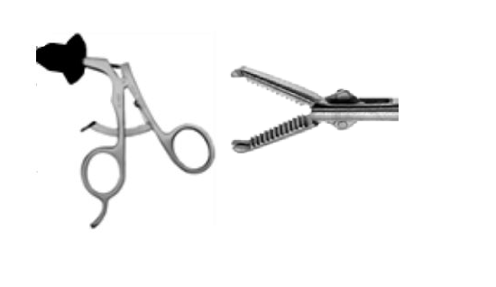 Elmed 5mm Dissectors and Graspers Kocher Grasper, 1 X 2 Teeth ...