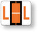 Medical Labels - Alpha File Folder Label - Tab and Smead BCCR Compatible - Dark Orange, 1-1/4" x 1"