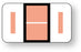 Medical Labels - Alpha File Folder Label - Jeter 5100 Compatible Series, 1-5/8" x 15/16"