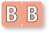 Medical Labels - Alpha File Folder Label - Barkley ABKM Compatible Series, 1-1/2" x 1"