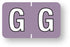 Medical Labels - Alpha File Folder Label - Barkley ABKM Compatible Series, 1-1/2" x 1"